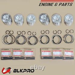 6 Piston and Piston Ring Kit Set STD For 5.9L Cummins ISBe 3800781 4B B5.9 6B