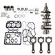 N843 Engine Overhaul Rebuild Kit fits New Holland Loader L150 LS140 LS150 LX485